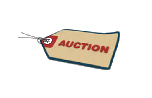 auction and liquidation
